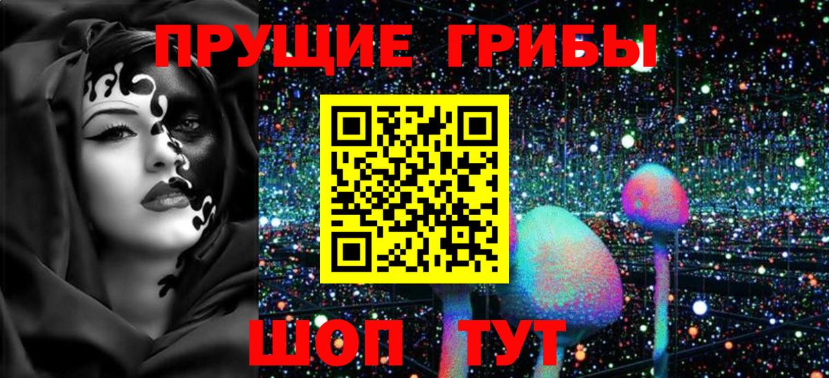 Каменск-Шахтинский  Псилоцибиновые грибы Psilocybe  Вход с VPN  Галлюциногенные грибы MAGIC MUSHROOMS 