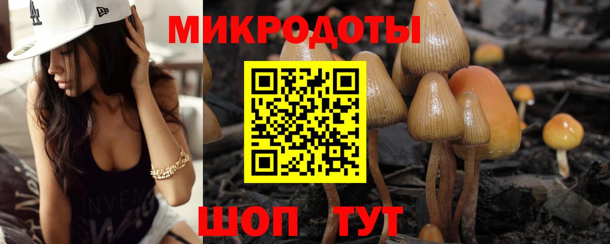 Галлюциногенные грибы мухоморы Каменск-Шахтинский